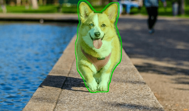 Original image with mask